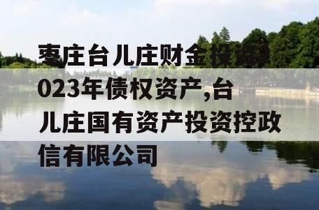 枣庄台儿庄财金投资2023年债权资产,台儿庄国有资产投资控政信有限公司