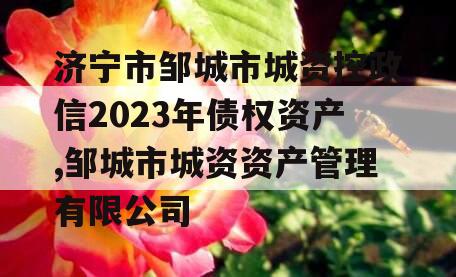 济宁市邹城市城资控政信2023年债权资产,邹城市城资资产管理有限公司