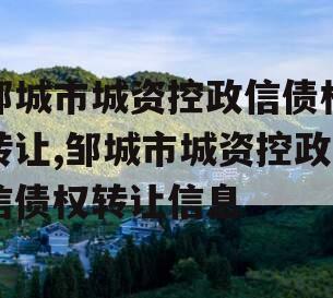 邹城市城资控政信债权转让,邹城市城资控政信债权转让信息