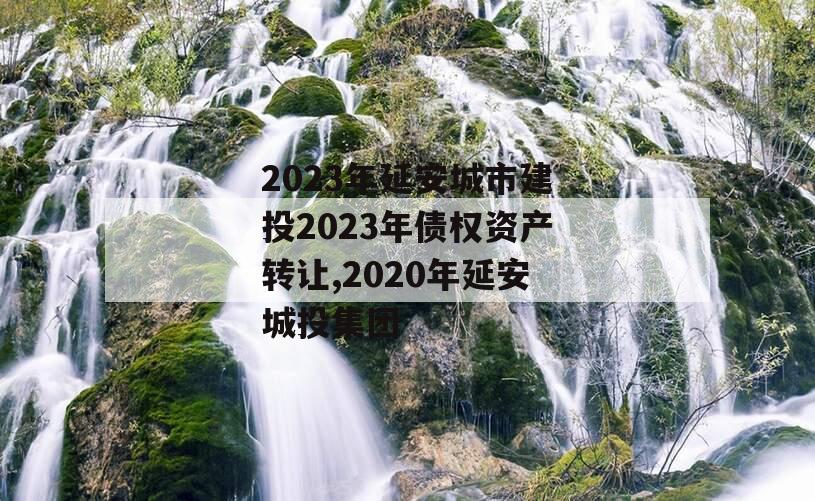 2023年延安城市建投2023年债权资产转让,2020年延安城投集团