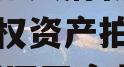 四川龙阳天府新区建设投资债权资产拍卖项目,天府新区天府龙城