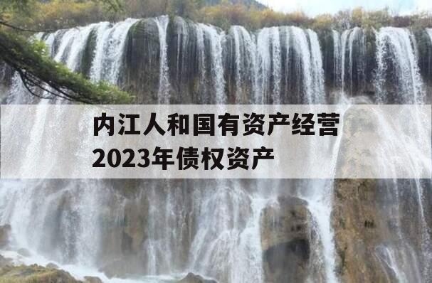 内江人和国有资产经营2023年债权资产