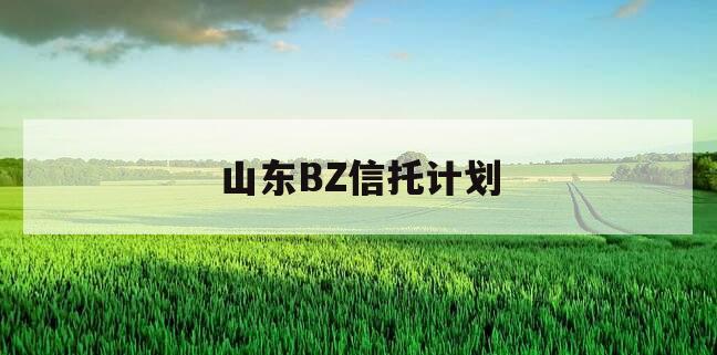 山东BZ信托计划