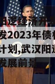 武汉阳逻经济开发区建设开发2023年债权转让计划,武汉阳逻开发区发展前景