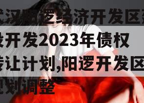 武汉阳逻经济开发区建设开发2023年债权转让计划,阳逻开发区规划调整