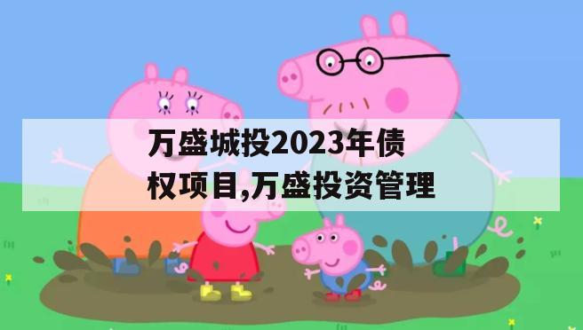 万盛城投2023年债权项目,万盛投资管理