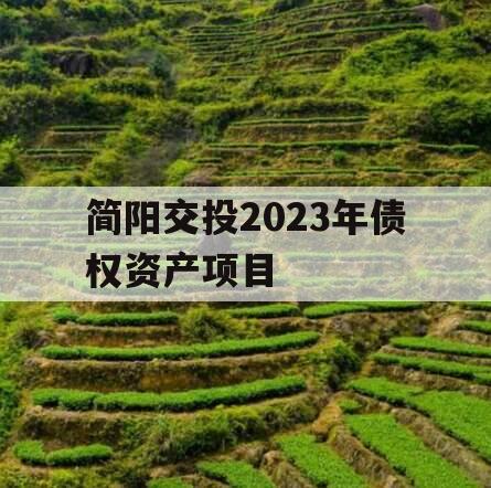 简阳交投2023年债权资产项目