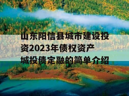 山东阳信县城市建设投资2023年债权资产城投债定融的简单介绍