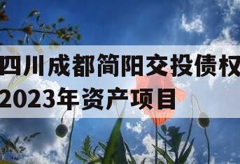 四川成都简阳交投债权2023年资产项目