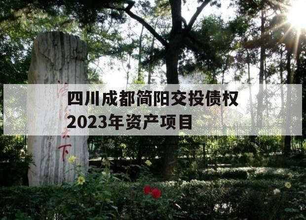 四川成都简阳交投债权2023年资产项目