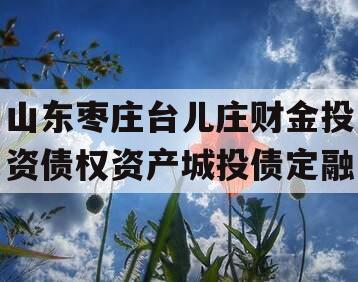 山东枣庄台儿庄财金投资债权资产城投债定融