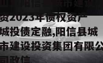 山东阳信县城市建设投资2023年债权资产城投债定融,阳信县城市建设投资集团有限公司政信