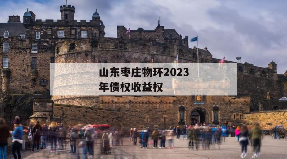 山东枣庄物环2023年债权收益权