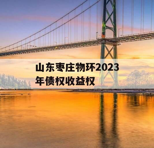 山东枣庄物环2023年债权收益权