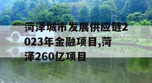 菏泽城市发展供应链2023年金融项目,菏泽260亿项目