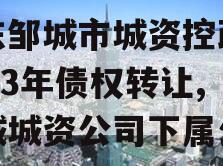 山东邹城市城资控政信2023年债权转让,邹城城资公司下属公司