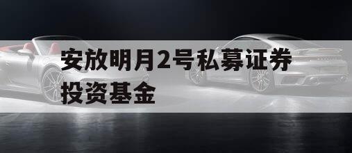 安放明月2号私募证券投资基金