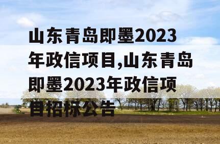 山东青岛即墨2023年政信项目,山东青岛即墨2023年政信项目招标公告