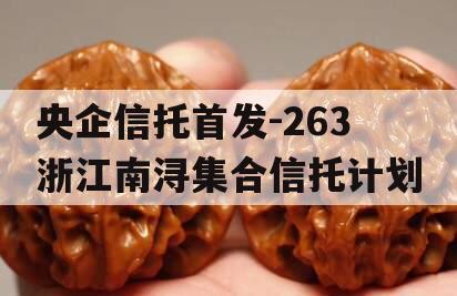 央企信托首发-263浙江南浔集合信托计划