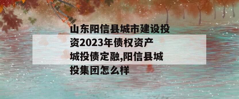 山东阳信县城市建设投资2023年债权资产城投债定融,阳信县城投集团怎么样