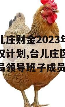 台儿庄财金2023年债权计划,台儿庄区财政局领导班子成员