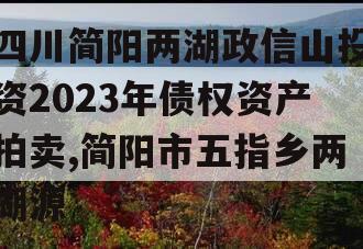 四川简阳两湖政信山投资2023年债权资产拍卖,简阳市五指乡两湖源