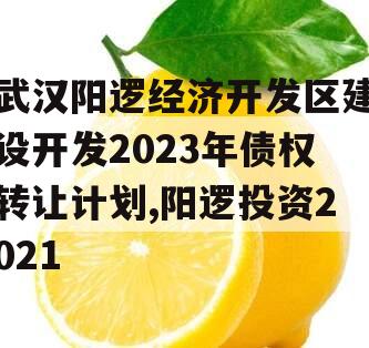 武汉阳逻经济开发区建设开发2023年债权转让计划,阳逻投资2021