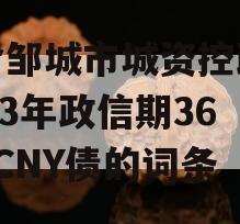 包含邹城市城资控政信2023年政信期364天CNY债的词条