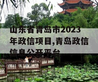 山东省青岛市2023年政信项目,青岛政信信息公开平台