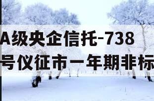 A级央企信托-738号仪征市一年期非标