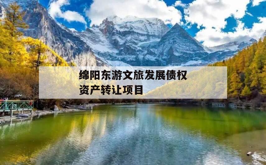 绵阳东游文旅发展债权资产转让项目