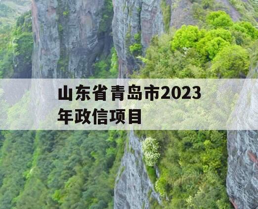 山东省青岛市2023年政信项目