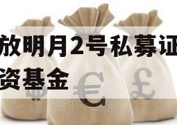 安放明月2号私募证券投资基金