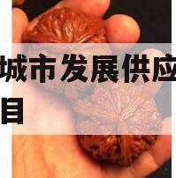 菏泽城市发展供应链金融项目