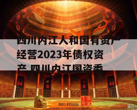 四川内江人和国有资产经营2023年债权资产,四川内江国资委