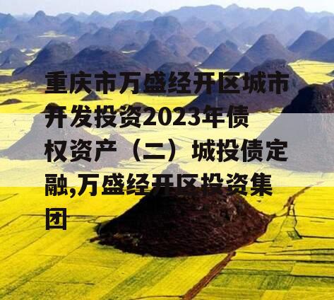 重庆市万盛经开区城市开发投资2023年债权资产（二）城投债定融,万盛经开区投资集团