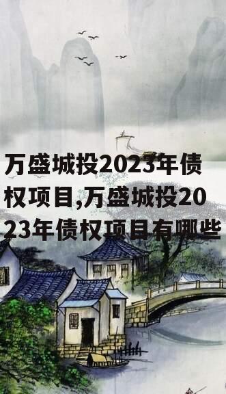 万盛城投2023年债权项目,万盛城投2023年债权项目有哪些