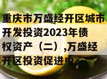 重庆市万盛经开区城市开发投资2023年债权资产（二）,万盛经开区投资促进中心