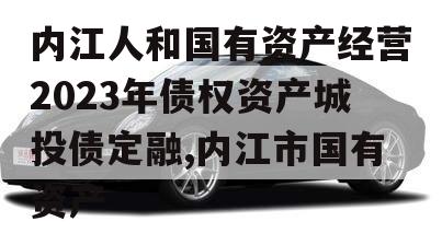 内江人和国有资产经营2023年债权资产城投债定融,内江市国有资产