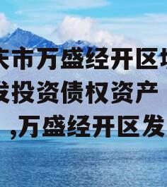 重庆市万盛经开区城市开发投资债权资产（二）】,万盛经开区发展