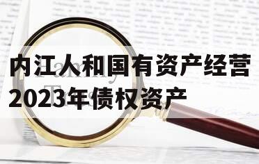 内江人和国有资产经营2023年债权资产