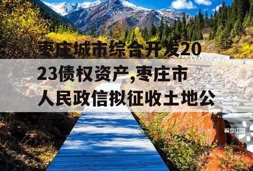 枣庄城市综合开发2023债权资产,枣庄市人民政信拟征收土地公告