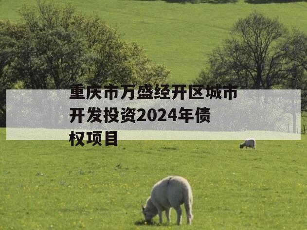 重庆市万盛经开区城市开发投资2024年债权项目