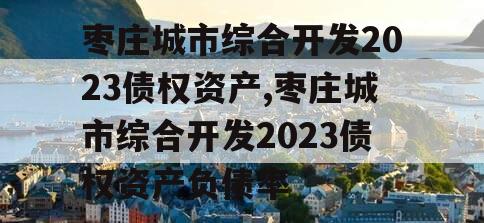 枣庄城市综合开发2023债权资产,枣庄城市综合开发2023债权资产负债率