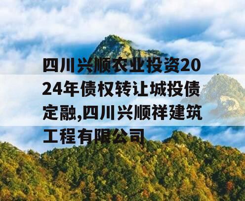 四川兴顺农业投资2024年债权转让城投债定融,四川兴顺祥建筑工程有限公司