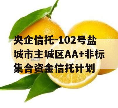 央企信托-102号盐城市主城区AA+非标集合资金信托计划