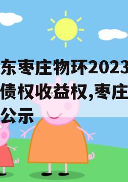 山东枣庄物环2023年债权收益权,枣庄环评公示