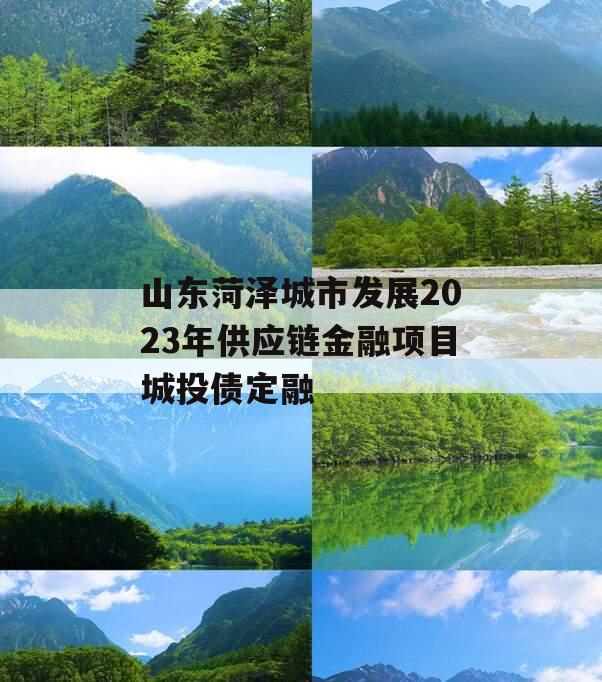 山东菏泽城市发展2023年供应链金融项目城投债定融