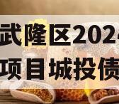 重庆武隆区2024年债权项目城投债定融