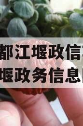 成都都江堰政信项目,都江堰政务信息网